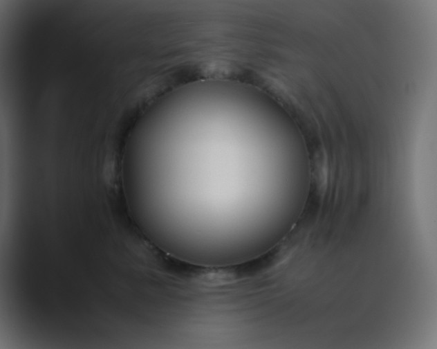 X0000089360619200706291043