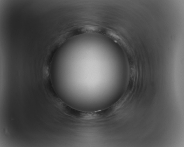 X0000089360621200706291043