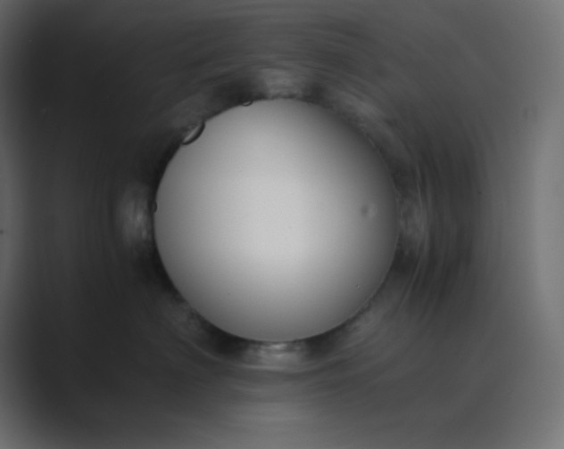 X0000089360622200706291042