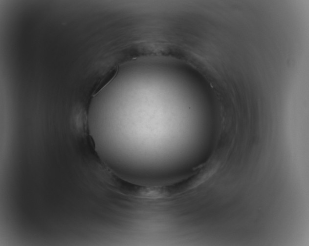 X0000089360624200706291042