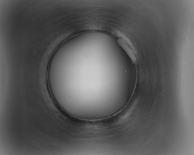 X0000089360625200706291042