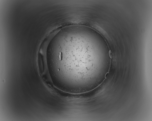 X0000089360626200706291042