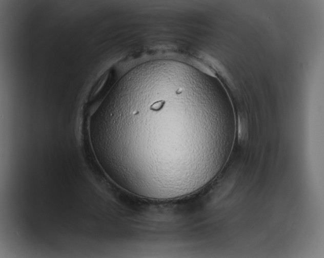 X0000089360627200706291042