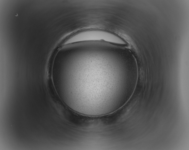 X0000089360628200706291042