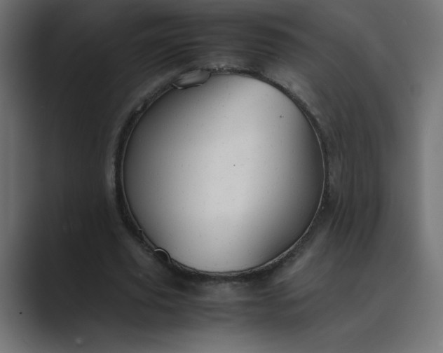 X0000089360629200706291042