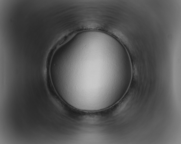 X0000089360630200706291042