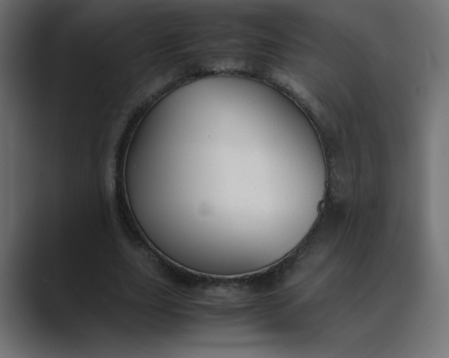 X0000089360631200706291042