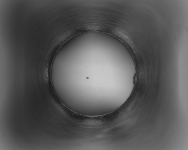 X0000089360633200706291042