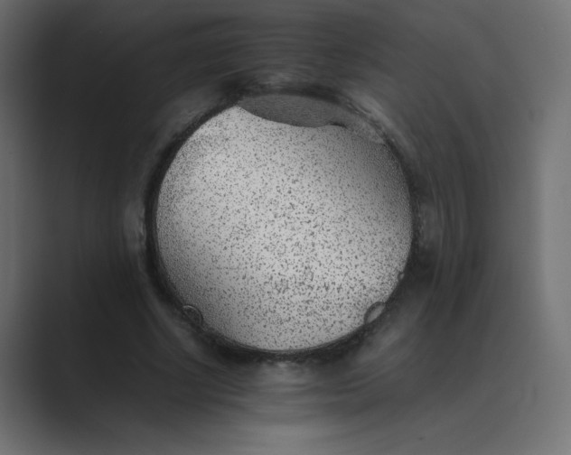 X0000089360634200706291042