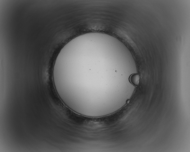 X0000089360635200706291042