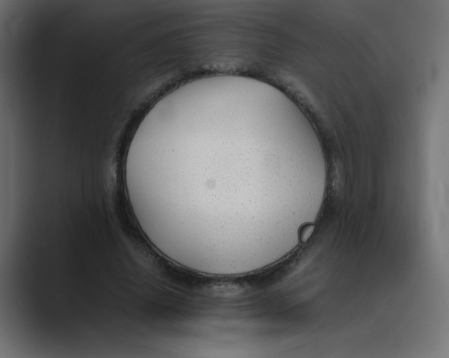 X0000089360636200706291042