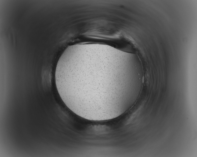 X0000089360637200706291042