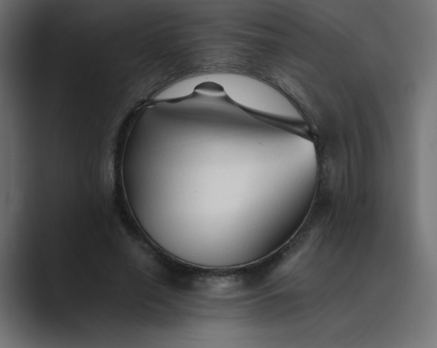 X0000089360638200706291042