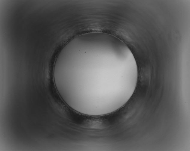 X0000089360639200706291042