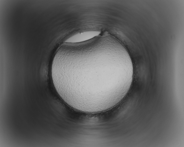 X0000089360640200706291042