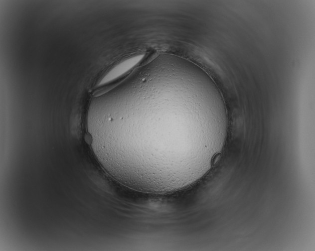 X0000089360641200706291042