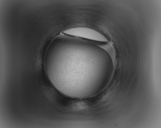 X0000089360643200706291042