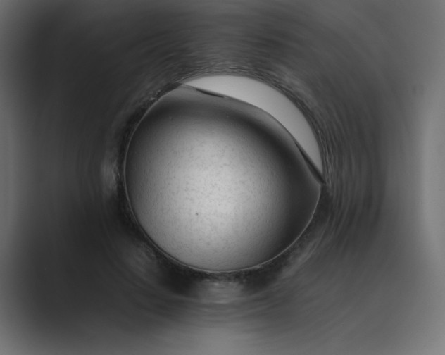 X0000089360644200706291042