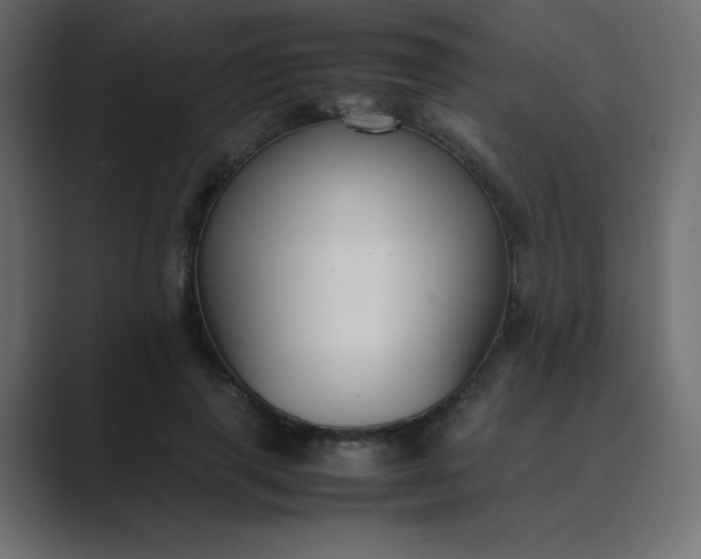 X0000089360645200706291042