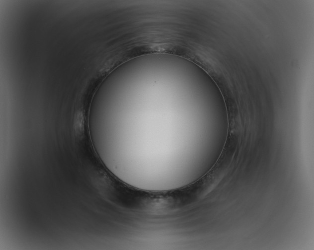 X0000089360646200706291042