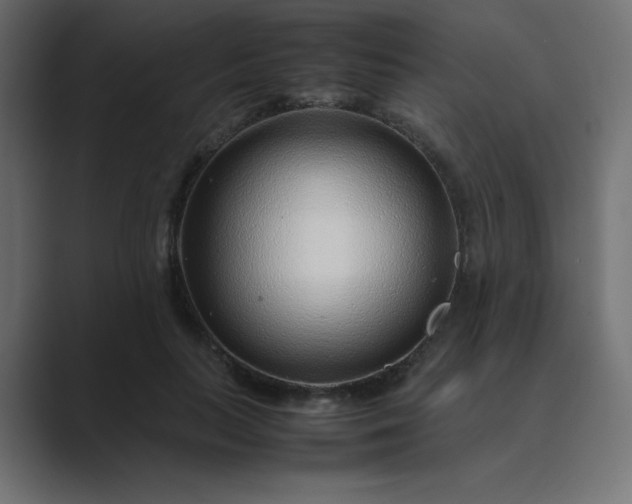 X0000089360647200706291042