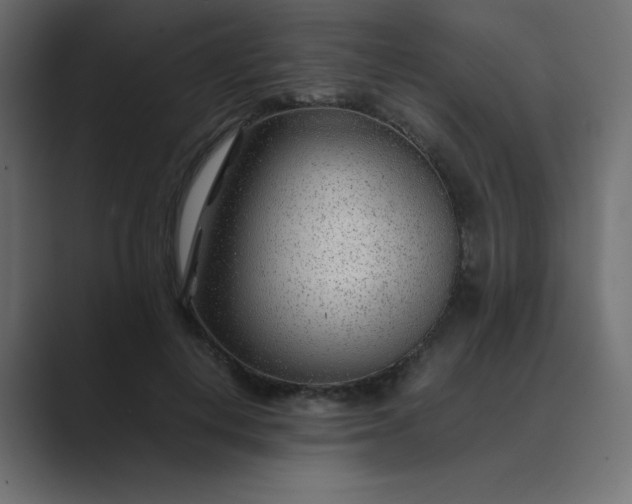 X0000089360648200706291042