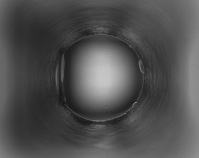 X0000089360649200706291042