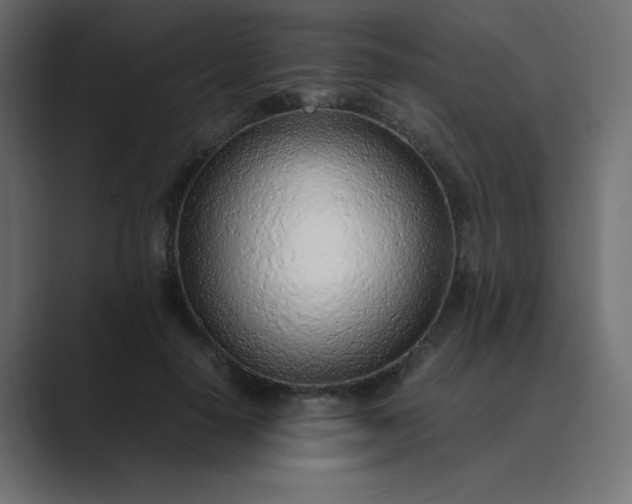 X0000089360650200706291042