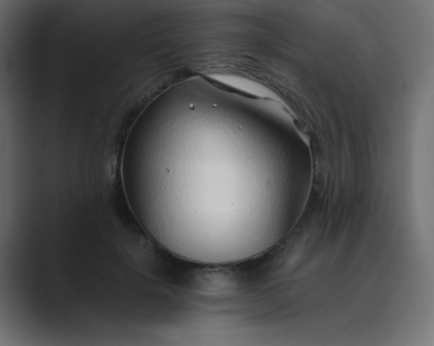 X0000089360652200706291042