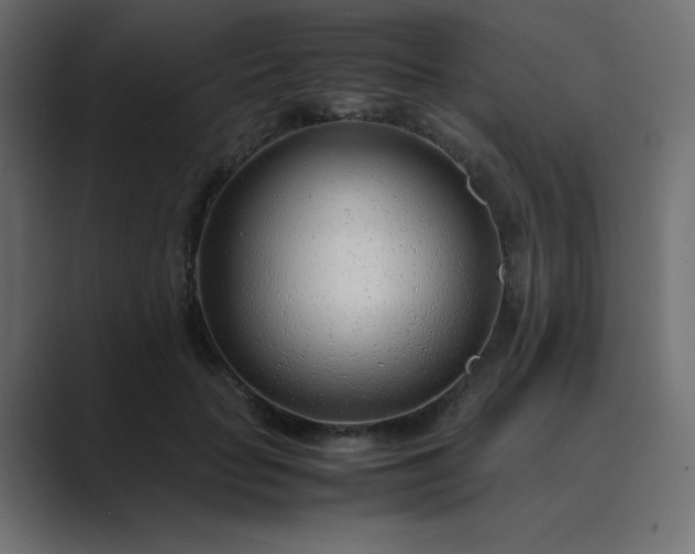 X0000089360653200706291042