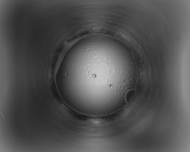 X0000089360654200706291042