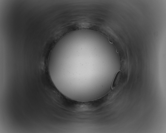 X0000089360655200706291042