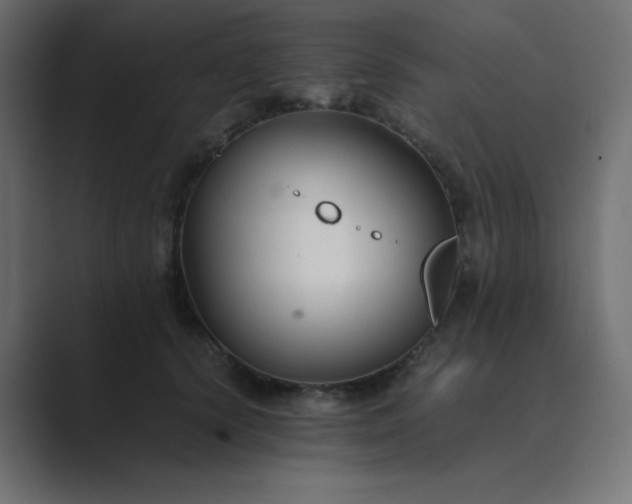 X0000089360656200706291042