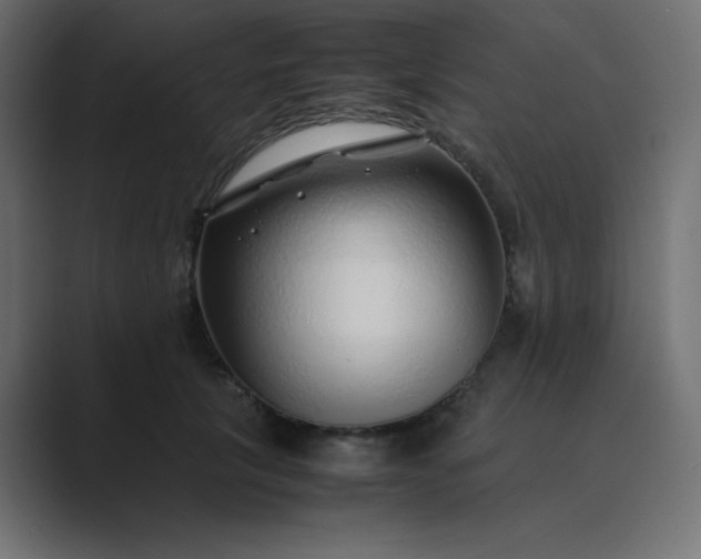 X0000089360657200706291042