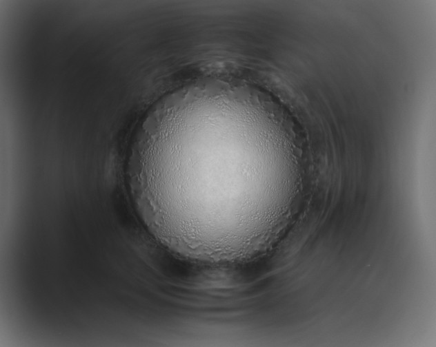 X0000089360659200706291042