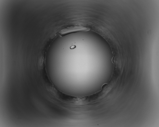 X0000089360660200706291042