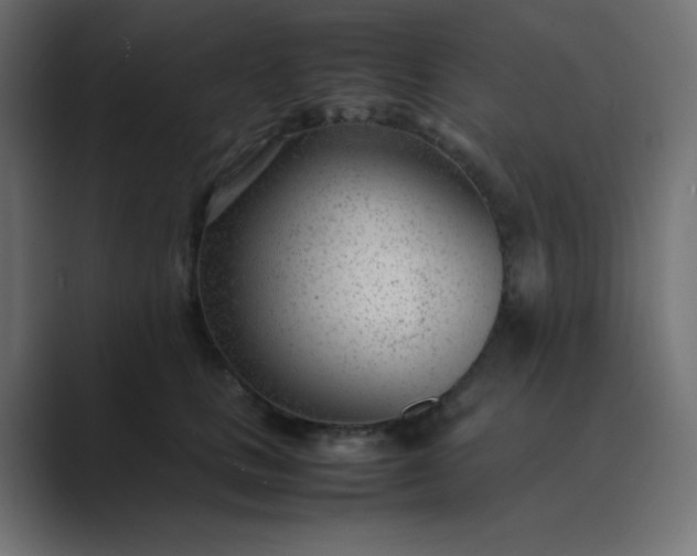 X0000089360661200706291042