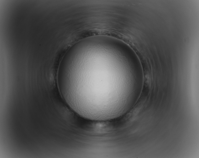 X0000089360662200706291042