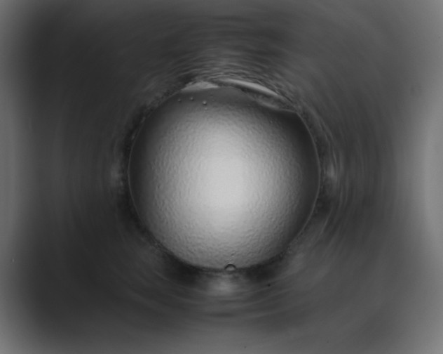 X0000089360663200706291042