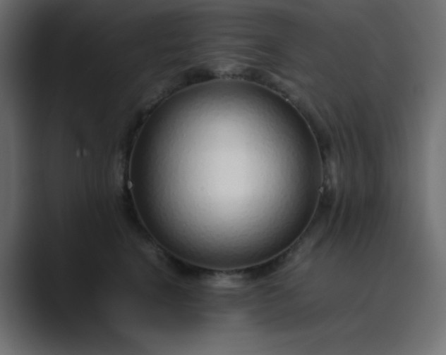 X0000089360664200706291042