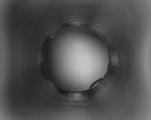 X0000089360665200706291042