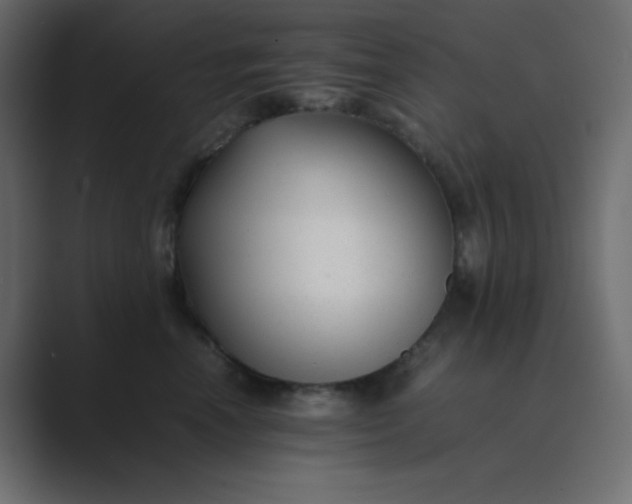 X0000089360666200706291042