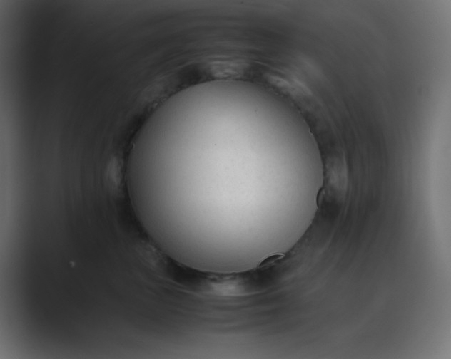 X0000089360667200706291042