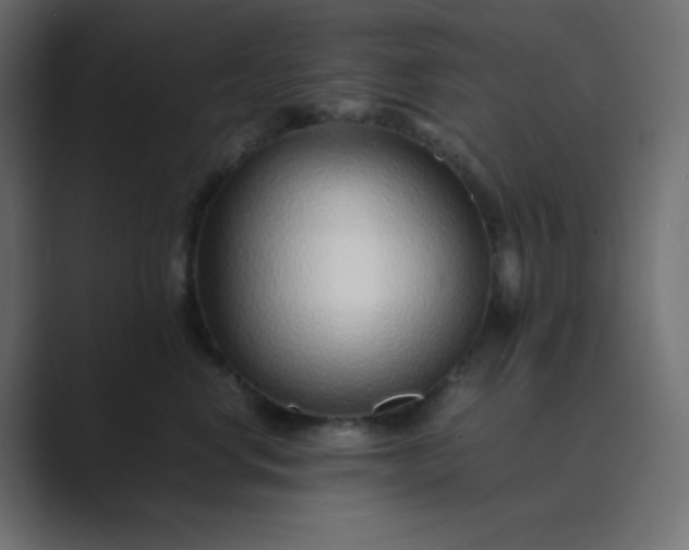 X0000089360668200706291042