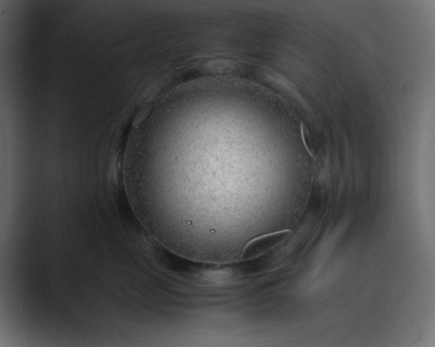 X0000089360669200706291042