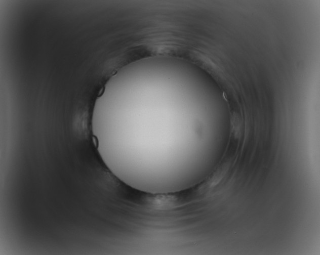 X0000089360670200706291042