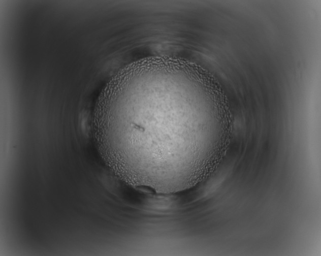 X0000089360671200706291042