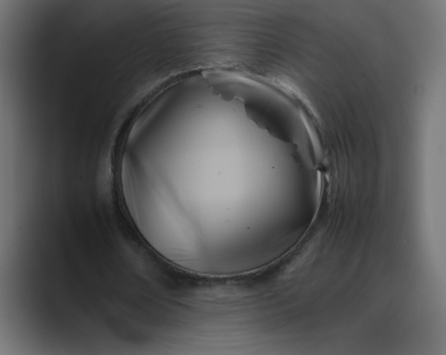 X0000089360674200706291042