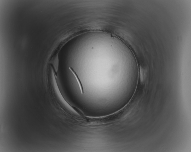 X0000089360675200706291042