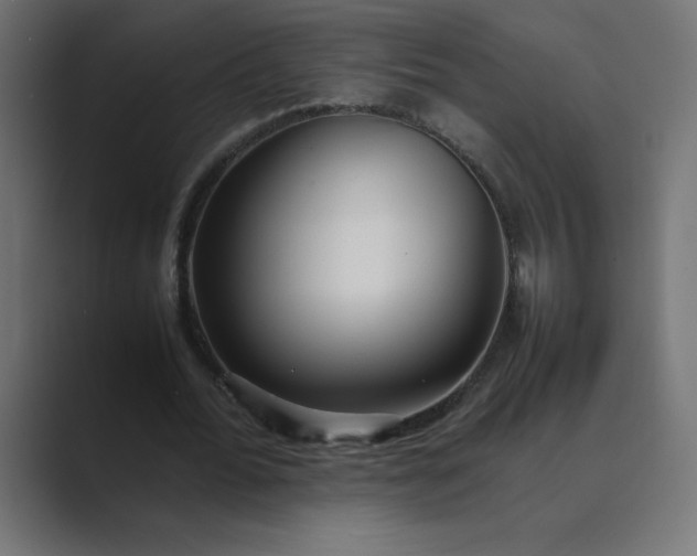 X0000089360676200706291042